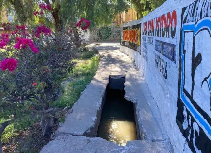 Foto del día: Peligro latente