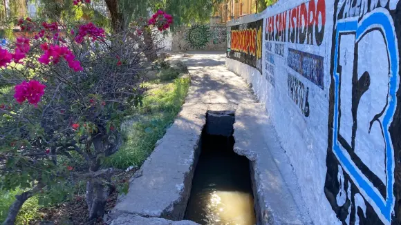 Foto del día: Peligro latente