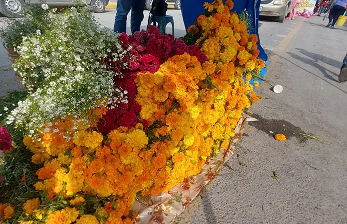 Productores de flor de cempasúchil reportaron buenas ventas