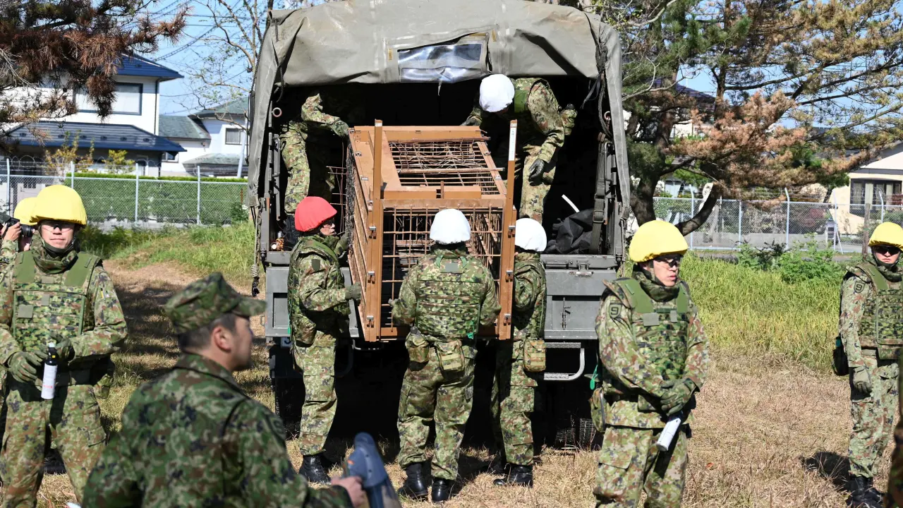Despliegue militar en Japón para contener ataques de osos