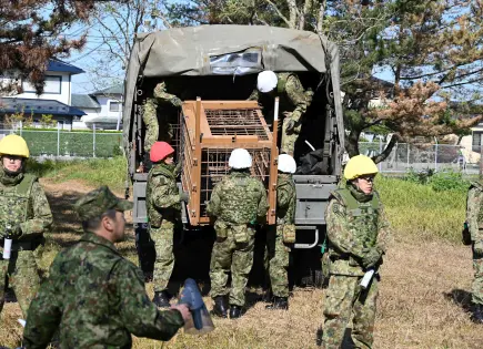 Despliegue militar en Japón para contener ataques de osos