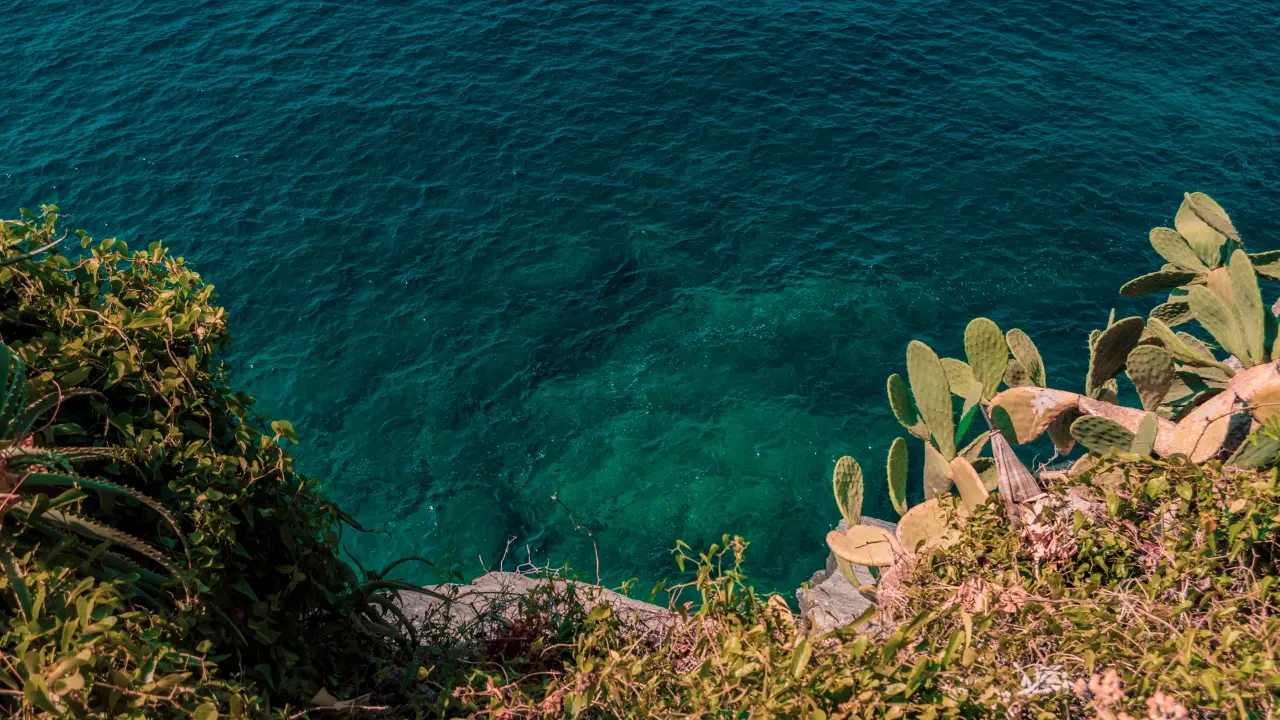 Nayarit se consolida como destino turístico con nuevas inversiones