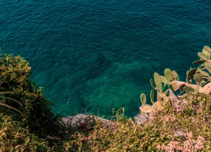 Riviera Nayarit elegido entre los destinos para visitar en 2026