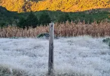 En Xilitla, el lugar m&aacute;s fr&iacute;o de SLP con m&iacute;nima de 1&deg;C