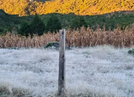 En Xilitla, el lugar más frío de SLP con mínima de 1°C