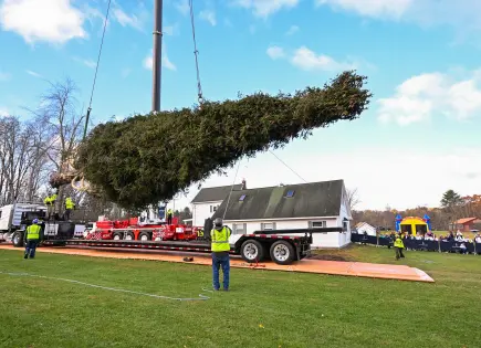 El árbol de Navidad del Centro Rockefeller es talado en el norte de NY y se dirige a Manhattan