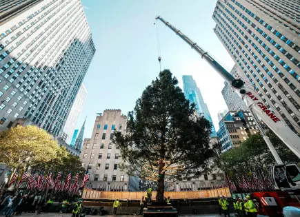 Árbol de Navidad del Centro Rockefeller izado en Manhattan