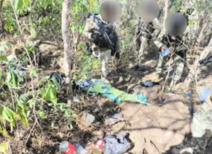 Ejército desmantela tres campamentos criminales en la sierra de Badiraguato Ejército desmantela tres campamentos criminales en la sierra de Badiraguato