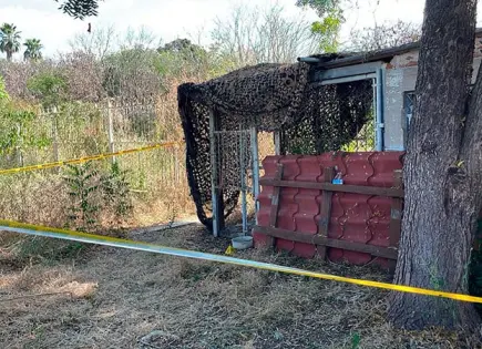 Halla colectivo restos óseos en Culiacancito Halla colectivo restos óseos en Culiacancito