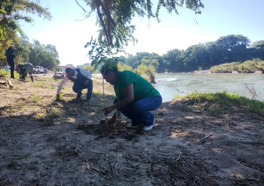 Reforestan márgenes del río Tampaón como parte del Plan Hídrico federal