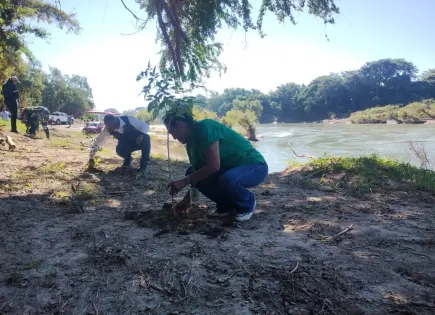 Reforestan márgenes del río Tampaón como parte del Plan Hídrico federal Reforestan márgenes del río Tampaón como parte del Plan Hídrico federal