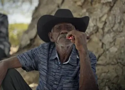 Rodando Film Festival concluye su edición