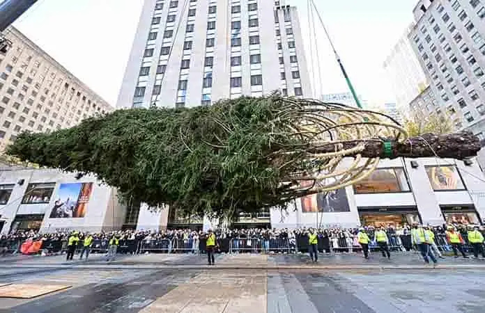 Árbol de Navidad llega a Manhattan