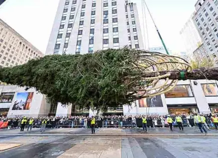 Árbol de Navidad llega a Manhattan