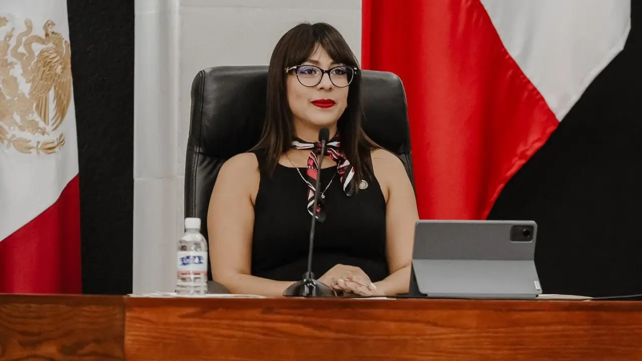 Diputada reprocha intervención del Congreso.