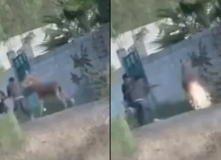 Jóvenes provocan indignación al colocar pirotecnia en la cola de un burro en Querétaro