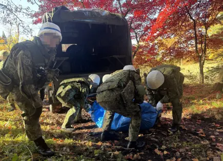 Policía japonesa autorizada a disparar rifles contra osos pardos en casos de peligro