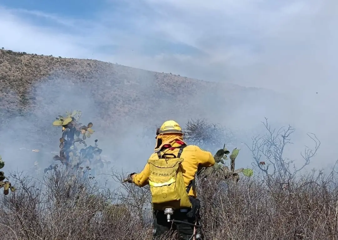 Quema de basura desata incendios en Valles