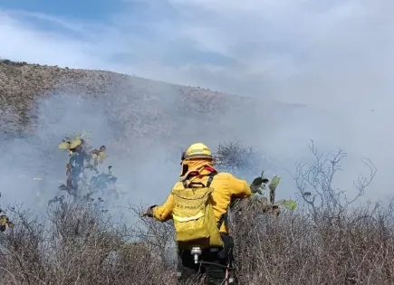 Quema de basura desata incendios en Valles