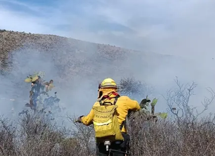Atiende PC dos incendios por día