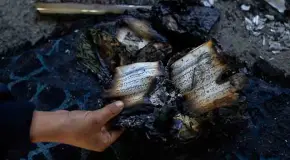 Incendian una mezquita en Cisjordania