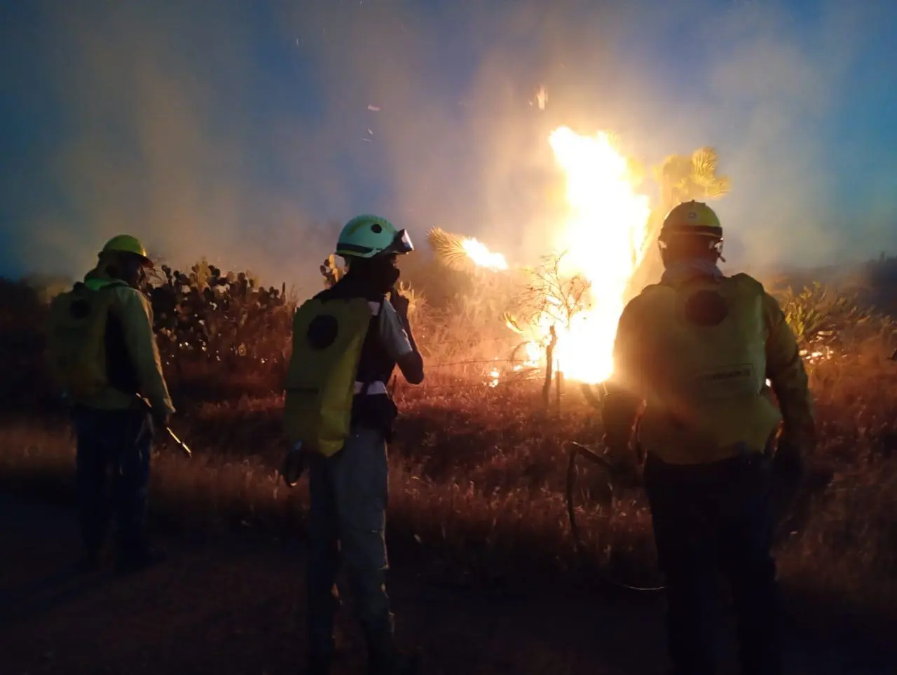 Incendio en Villa de Reyes deja 70 hectáreas afectadas