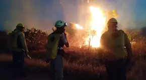 Incendio en Villa de Reyes deja 70 hectáreas afectadas