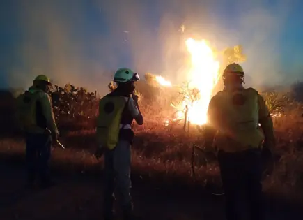 Incendio en Villa de Reyes deja 70 hectáreas afectadas