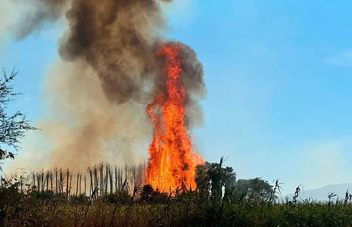 Incendio forestal arrasa con varias hectáreas