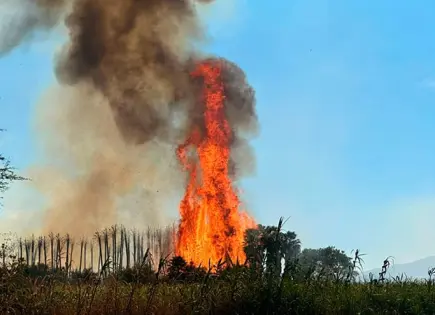 Incendio forestal arrasa con varias hectáreas