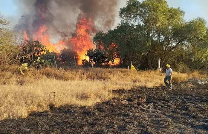Incendio consume 70 hectáreas de maleza