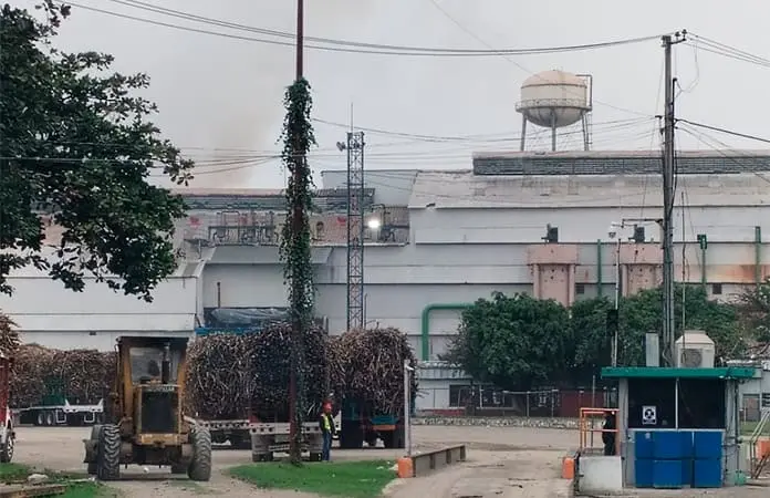 Molienda iniciará el 11 de diciembre