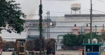 Molienda iniciará el 11 de diciembre