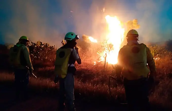 Nuevo incendio forestal eleva superficie dañada