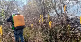 Ola de incendios pone en jaque a bomberos