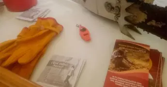 Personas desaparecidas movilizan corporaciones