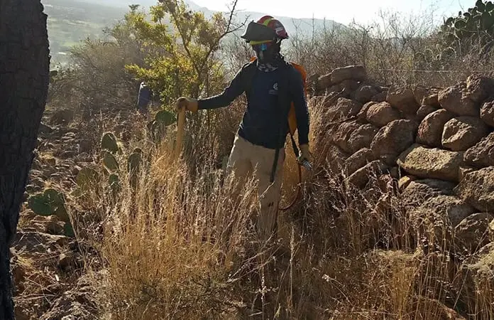 Controlan incendio en cerro de Ahualulco