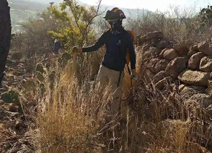 Controlan incendio en cerro de Ahualulco