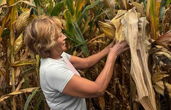 Lluvia revierte severa sequía en Hidalgo