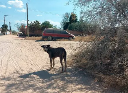 Comunidad de Enrique Estrada solicita atención de la autoridad Comunidad de Enrique Estrada solicita atención de la autoridad