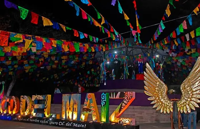 Feremaíz convertida en una “cantinota”