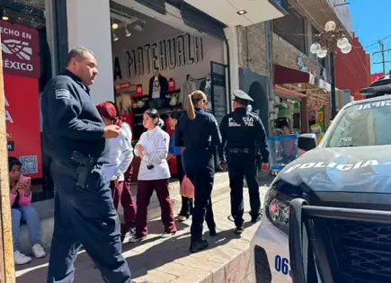 Rescatan un tlacuache en escuela primaria Rescatan un tlacuache en escuela primaria