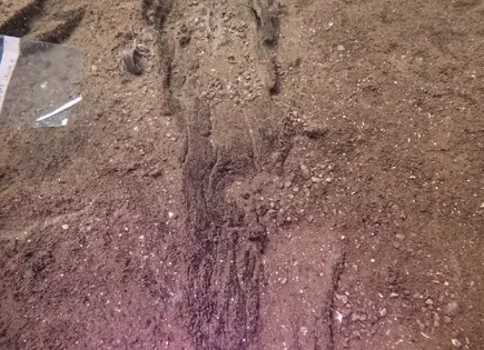 Hallan 16 Canoas Antiguas en Lago Mendota de Wisconsin Hallan 16 Canoas Antiguas en Lago Mendota de Wisconsin