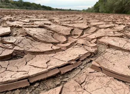 La sobreexplotación del río Bravo amenaza la seguridad hídrica en EEUU y México