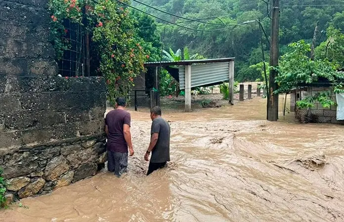 Incumplen requisitos 10% de damnificados