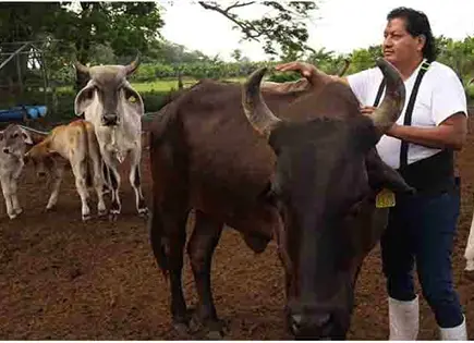 Contienen avance del GBG en norte Contienen avance del GBG en norte