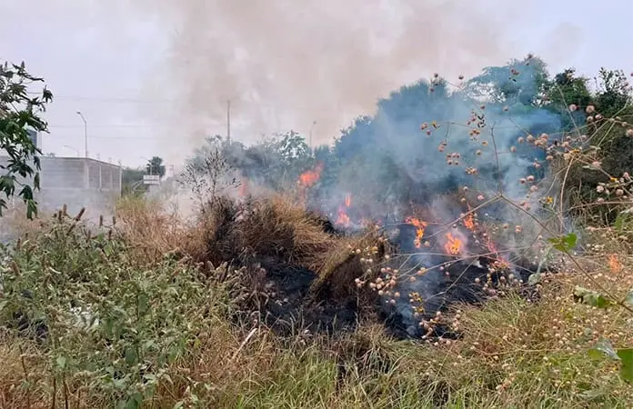 Incendio de pastizal genera contaminación