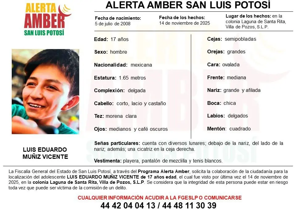 Activan Alerta Amber en SLP por desaparición de menor