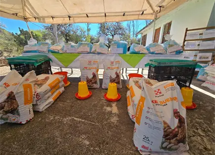 DIF impulsa granjas de traspatio