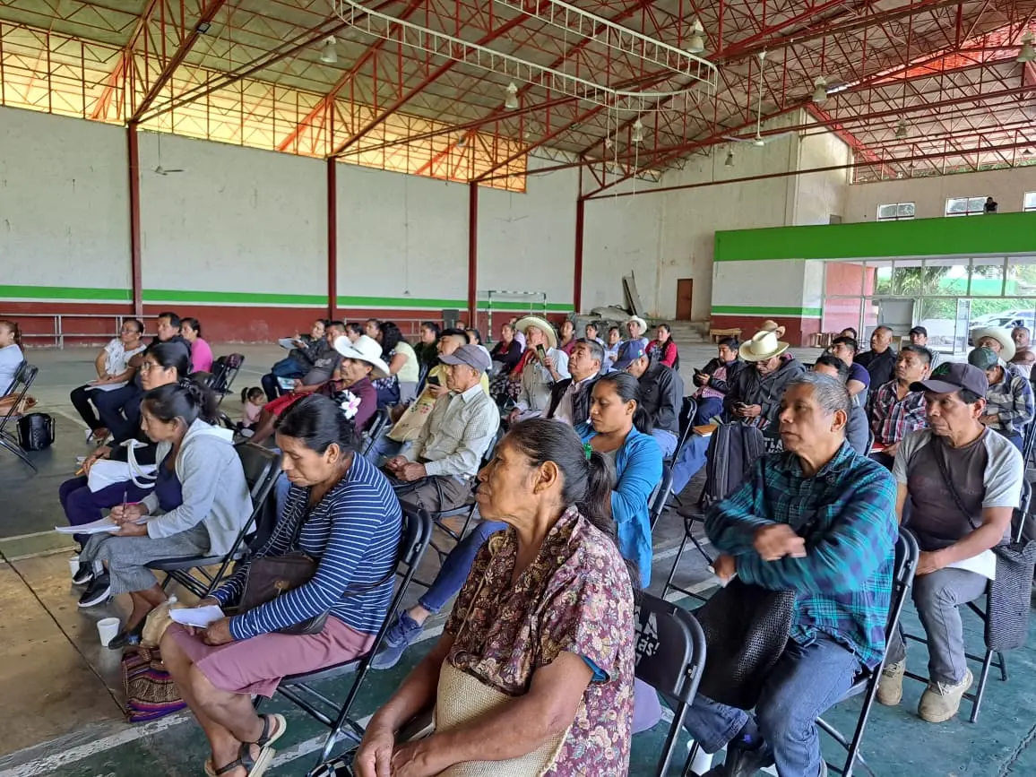 Avanza proceso para elegir el Consejo Consultivo Indígena 2026-2028